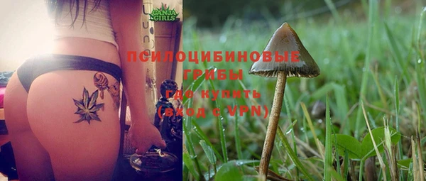 PSILOCYBIN Арсеньев