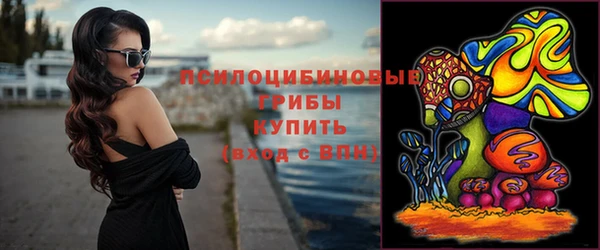 PSILOCYBIN Арсеньев