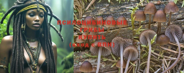 PSILOCYBIN Арсеньев