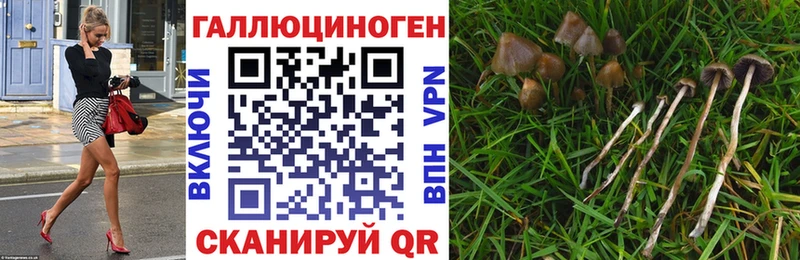 гидра ссылка  Ивдель  Галлюциногенные грибы GOLDEN TEACHER 